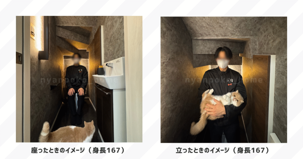一条工務店で計画した階段下トイレのサイズ感